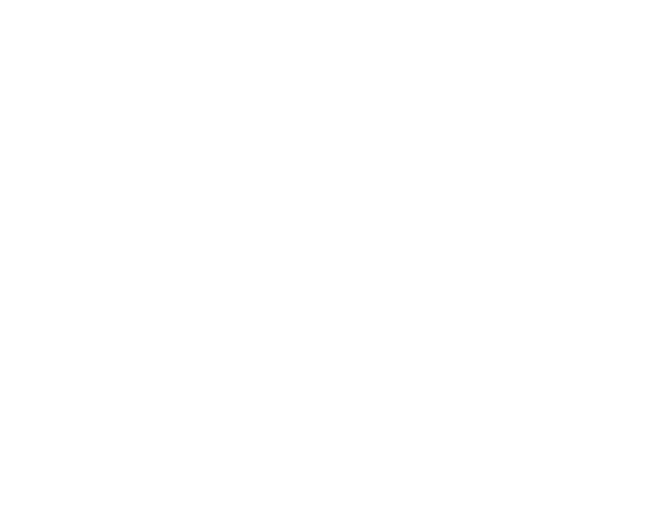 Chip Pro Autoglass logo — mobile windshield repair Utah County